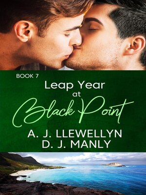 cover image of Leap Year at Black Point